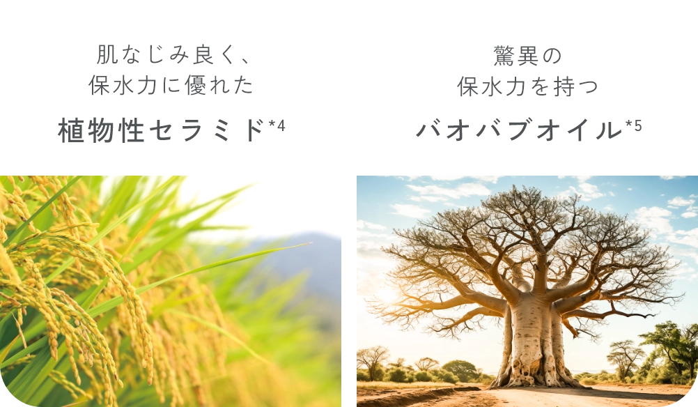 肌なじみ良く、保水力に優れた植物性セラミド*4　驚異の保水力を持つバオバブオイル
