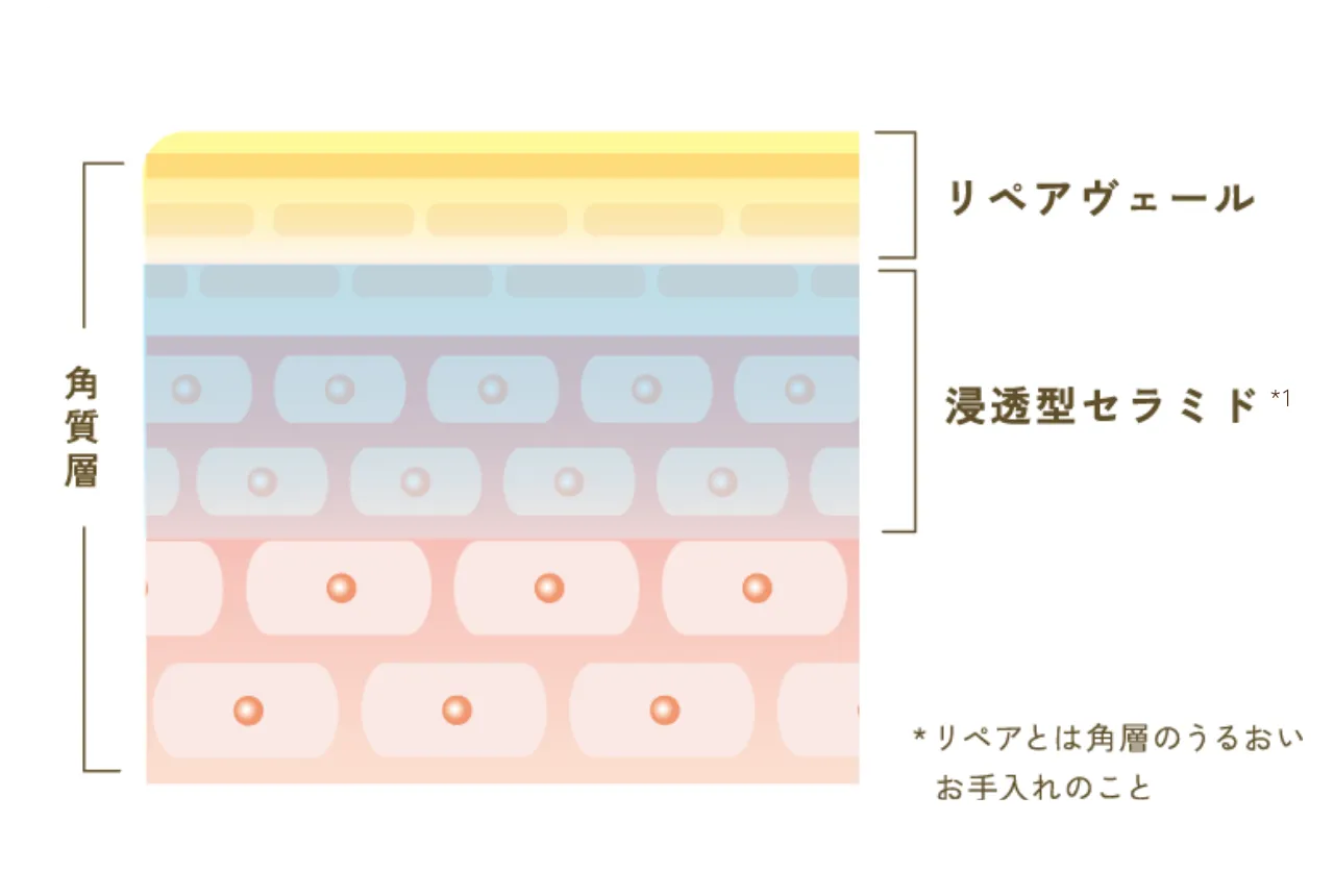 角質層 リペアヴェール 浸透型セラミド*1 *リペアとは角質のうるおいお手入れのこと