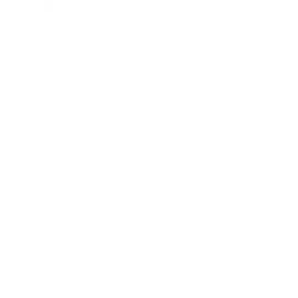 インスタグラム
