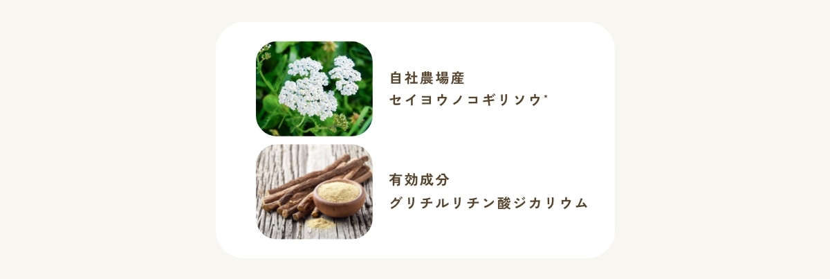 モイストリッチクリーム