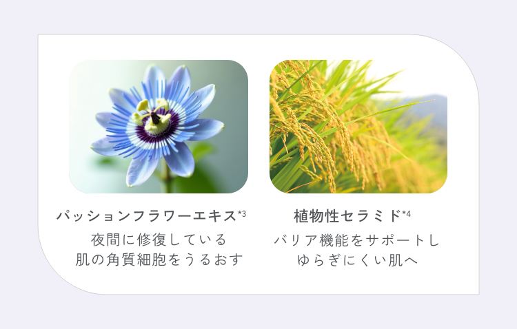 スリーピングリペアマスク